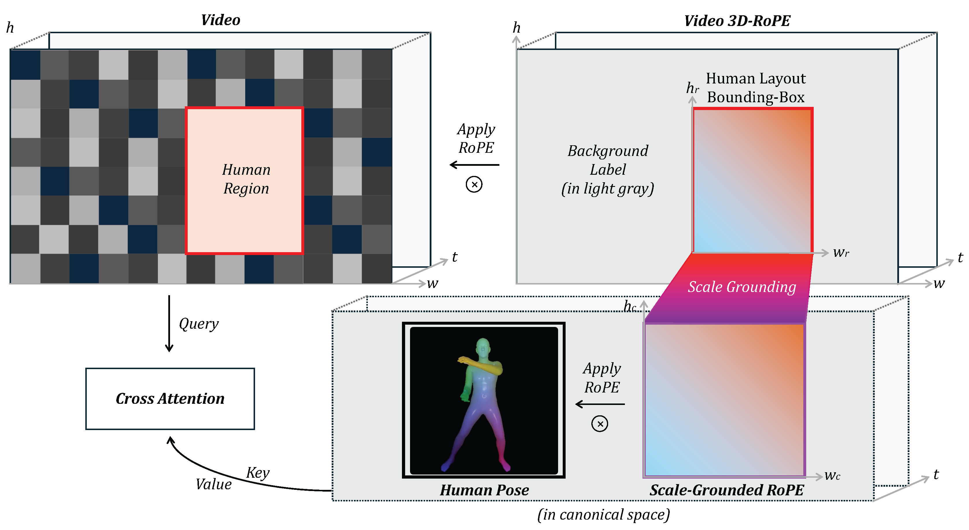 Decoupled Motion Cross-attention